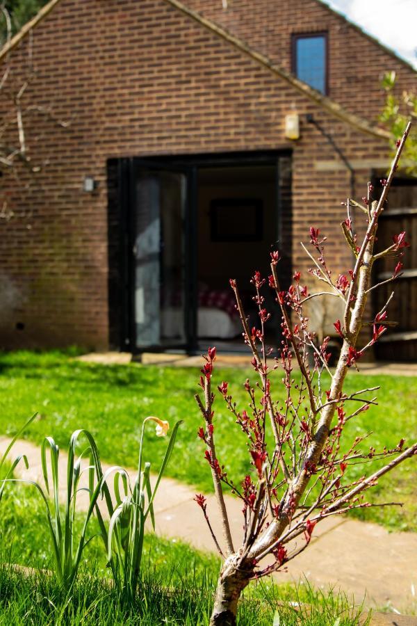 The Mills Guesthouse Хатфилд Экстерьер фото